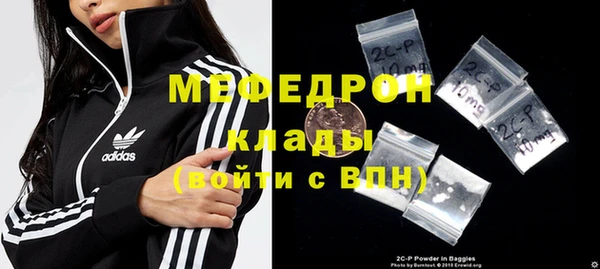 индика Гусиноозёрск