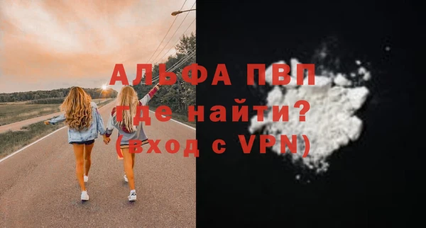 индика Гусиноозёрск