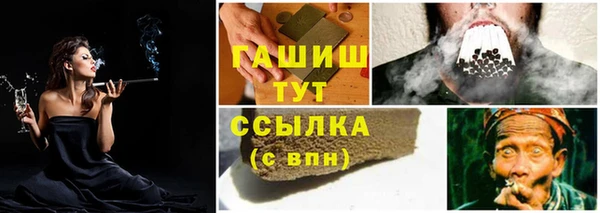 сатива Горно-Алтайск