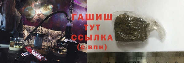 индика Гусиноозёрск