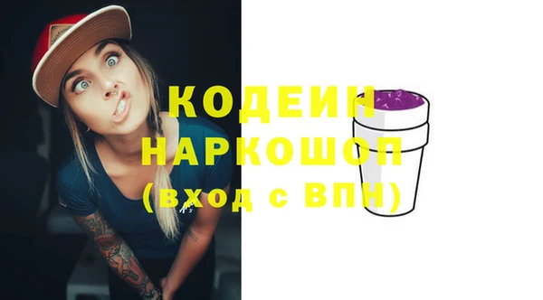 индика Гусиноозёрск