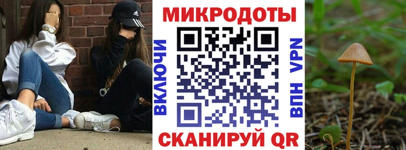 Купить  Разумное  Галлюциногенные грибы Cubensis 